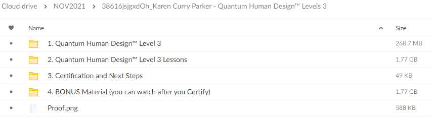 quantum-human-design-levels-3-by-karen-curry-parker-free-download