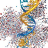 arcturian-super-immune-booster-group-healing-sessions-by-gene-ang