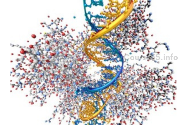 arcturian-super-immune-booster-group-healing-sessions-by-gene-ang
