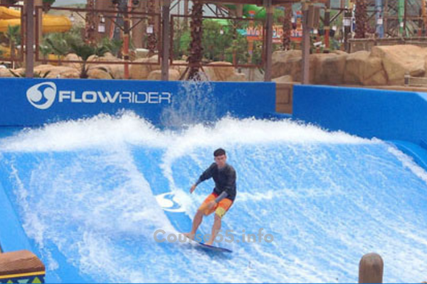 flowrider-trading-course-by-boris-schlossberg-and-kathy-lien-free-download