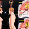 loving-energy-that-heals-transform-sexual-energy-to-life-force-intensive-12-13-sep-2021-by-mantak-chia-free-download