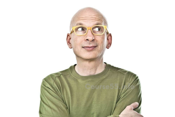 freelancer-course-by-seth-godin-free-download